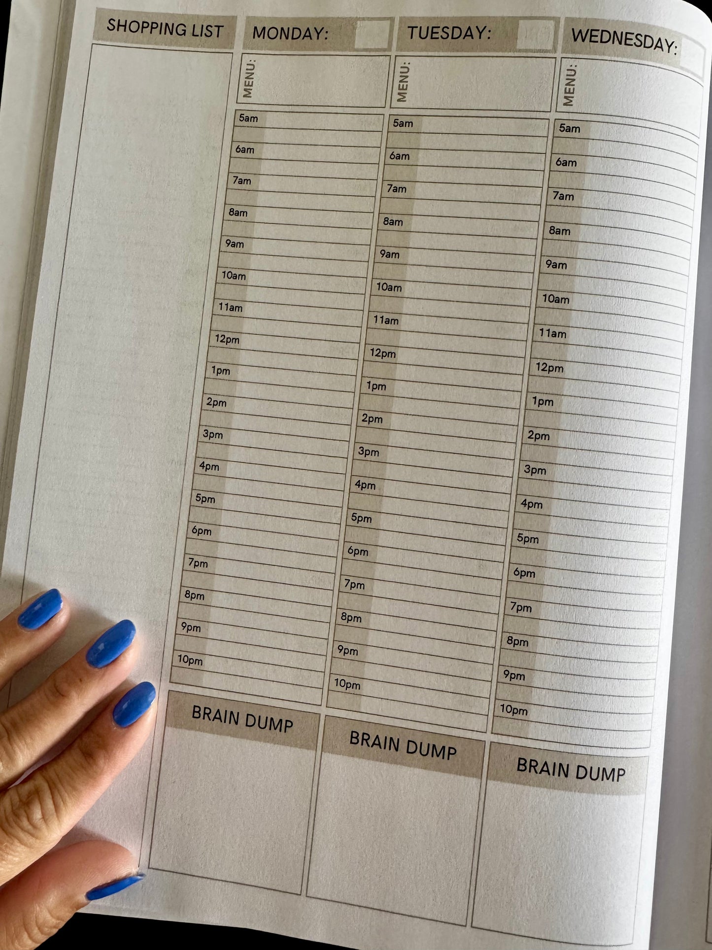 Own Your Year, Planner (undated)